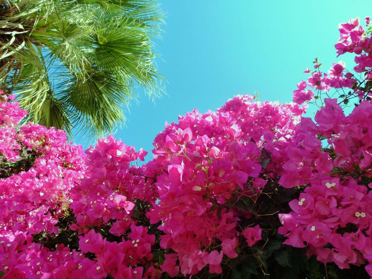 Bougainvillea Suites Kamári 外观 照片