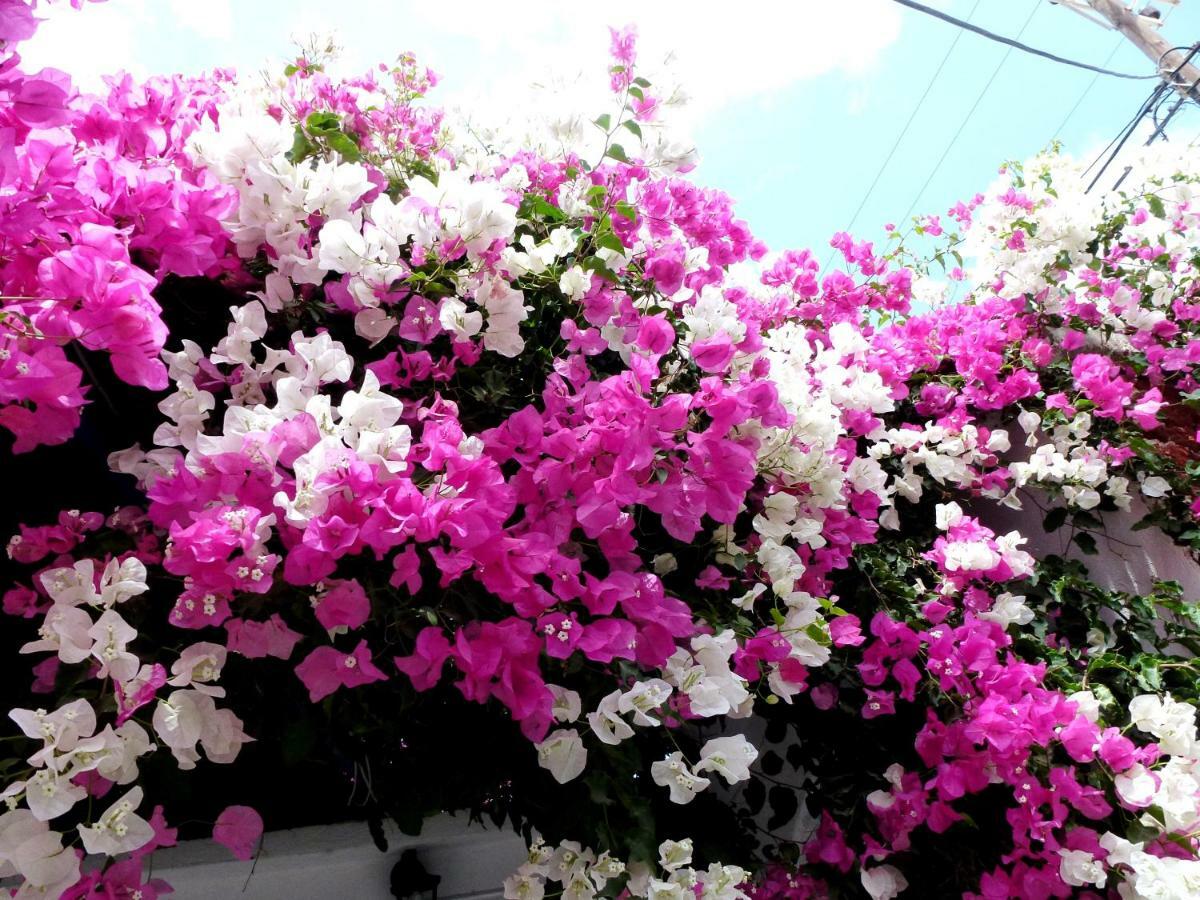 Bougainvillea Suites Kamári 外观 照片